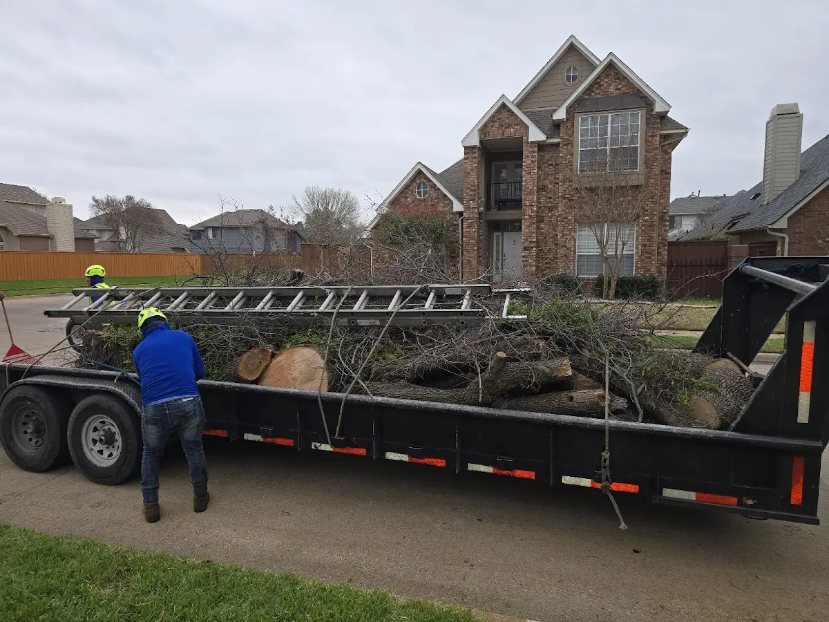 Expert Tree Fertilization with proper safety equipment in Little Elm